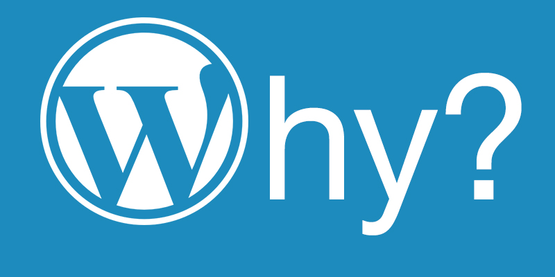 5 Reasons to Choose WordPress for Your Next Website