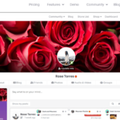 PeepSo – Gecko Theme – v3.9.1.0