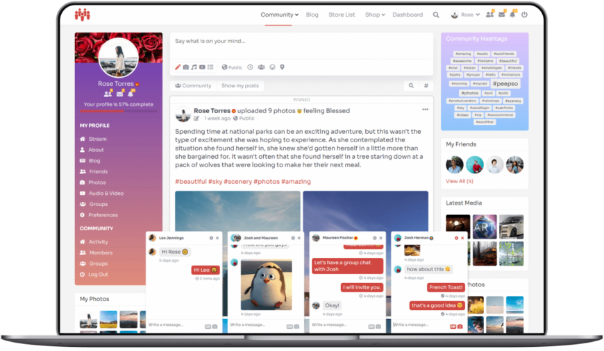PeepSo – Gecko Theme – v3.9.1.0