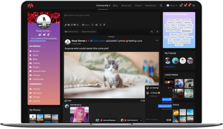PeepSo – Gecko Theme – v3.9.1.0