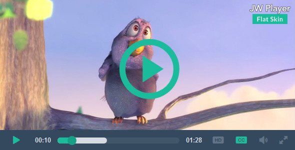 JW Player Flat Skin Retina