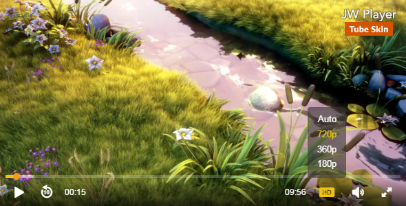 JW Player Youtube Style Skin Retina